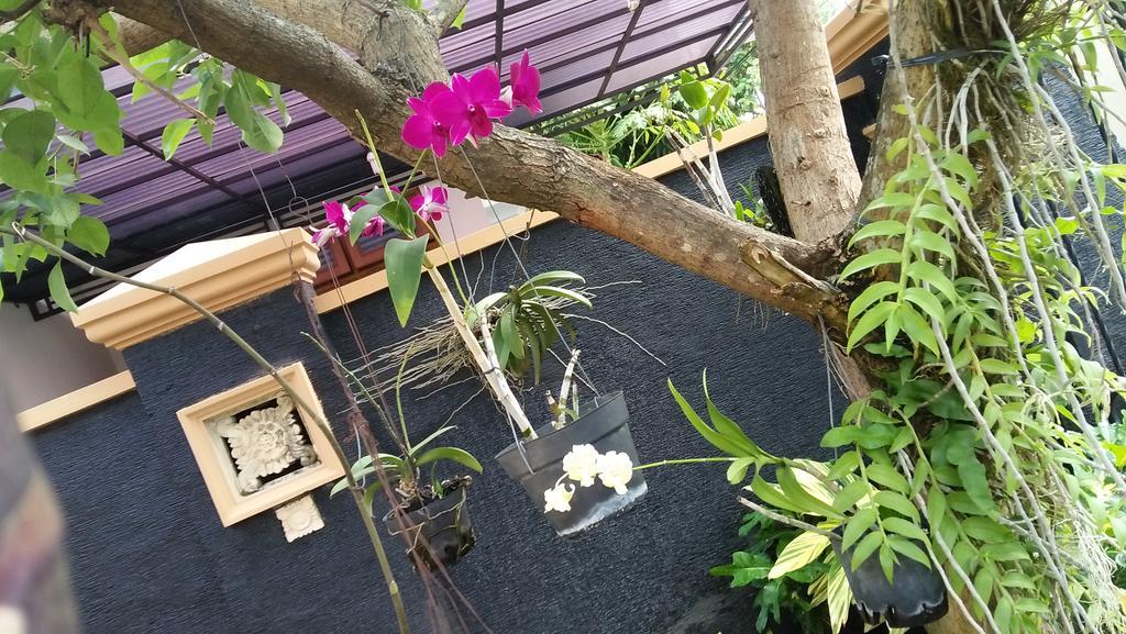 Roemah Canting Homestay Yogyakarta Eksteriør billede